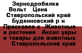 Зернодробилка 220 Вольт › Цена ­ 10 000 - Ставропольский край, Буденновский р-н, Прасковея с. Животные и растения » Аксесcуары и товары для животных   . Ставропольский край